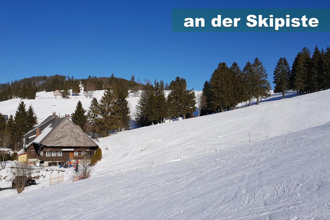Wohlfuehl-Ferienwohnung 80 Qm, 8 Personen, Aussicht & Heimkino Todtnau Exterior foto