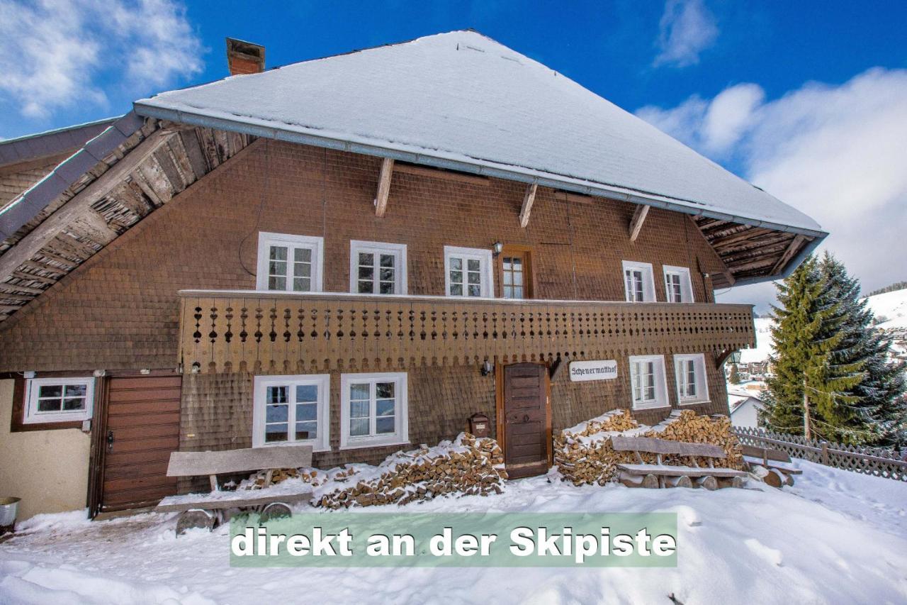 Wohlfuehl-Ferienwohnung 80 Qm, 8 Personen, Aussicht & Heimkino Todtnau Exterior foto